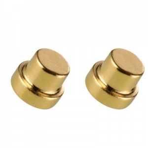 Special Irregular Shaped Custom NdFeb Gold Neodymium Magnet