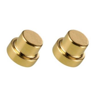 Special Irregular Shaped Custom NdFeb Gold Neodymium Magnet