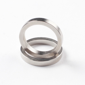 Customized Rare Earth Neodymium Permanent NdFeB Ring Magnets