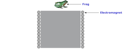 Levitating Frog