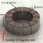 halbach array segment N45 OD100mm ID60 H30mm