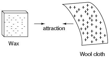 Wax and Wool Attraction